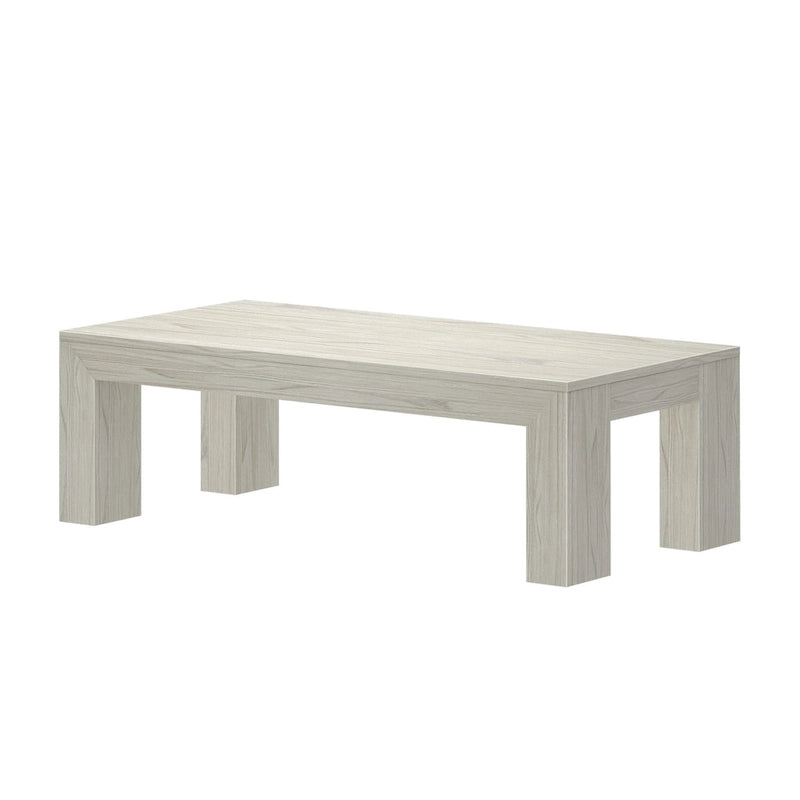 Modern Rectangular Coffee Table - 48 x 24